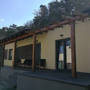  Apartament Przy Lesie